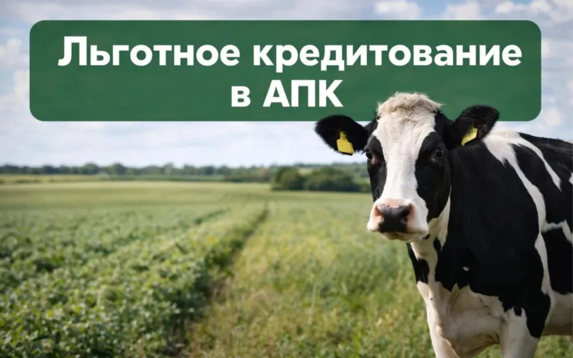 Открыт приём заявок на льготные кредиты для аграриев